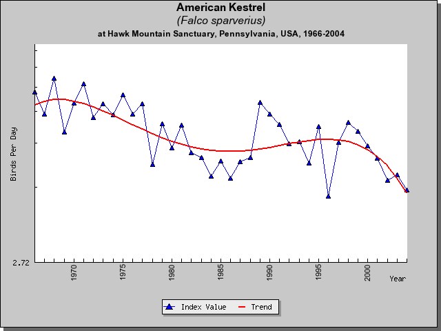 Kestrel Conservation Status