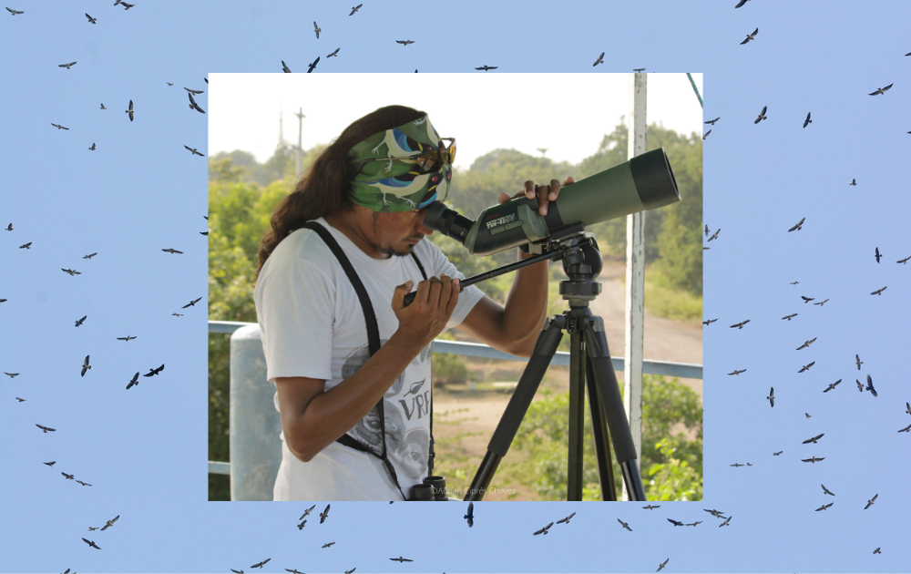 Veracruz River of Raptors Migration Graphic