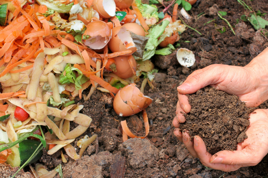 Composting Food Scraps